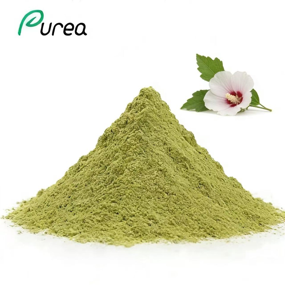 Trab tal-werqa tal-Hibiscus