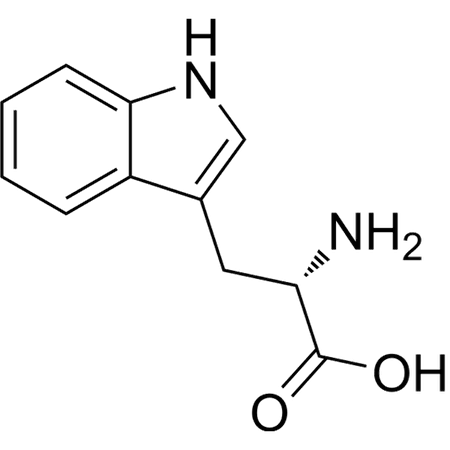 L-2 L-2